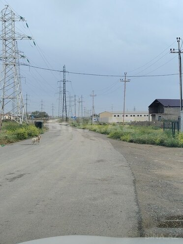 Участок - пос. Деде Горгуд - 2.5 сот (19)
