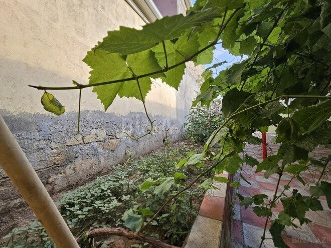 3 otaqlı həyət evi/bağ evi - Xırdalan - 100 m² (9)