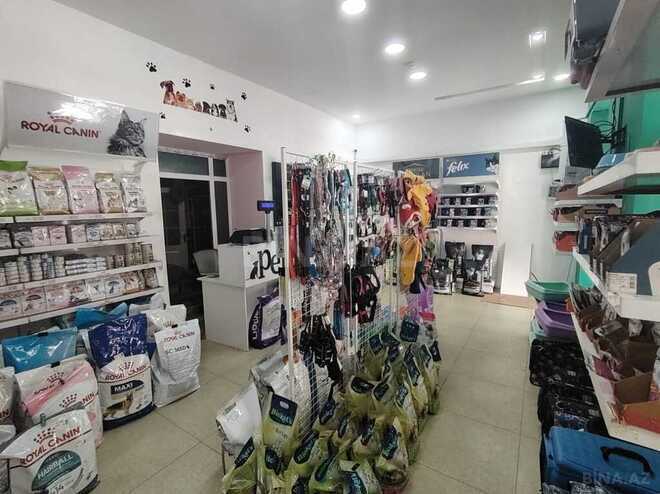 Obyekt - 28 May m. - 80 m² (10)