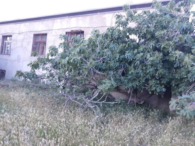 Участок - пос. Бильгях - 10 сот (4)