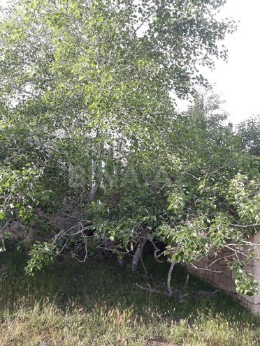 Участок - пос. Бильгях - 10 сот (13)