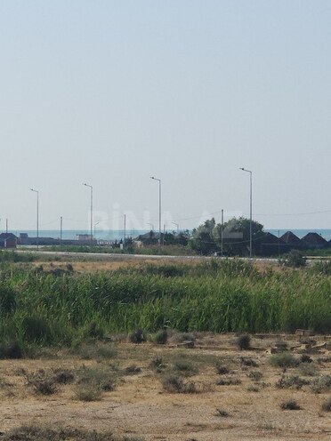 Torpaq - Novxanı q. - 300 sot (15)