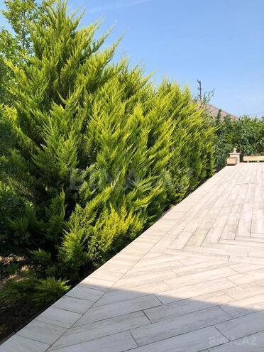 İcarəyə verilir 8 otaqlı həyət evi/bağ evi 300 m², Pirşağı q., photo 10 from 31