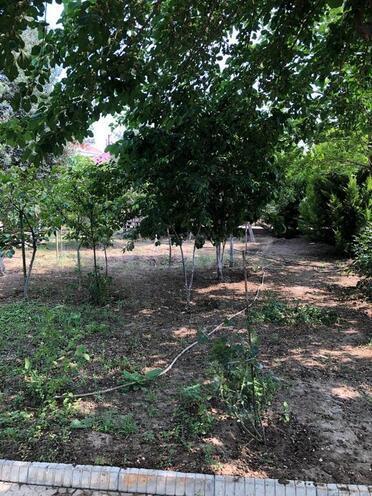 İcarəyə verilir 8 otaqlı həyət evi/bağ evi 300 m², Pirşağı q., photo 8 from 31