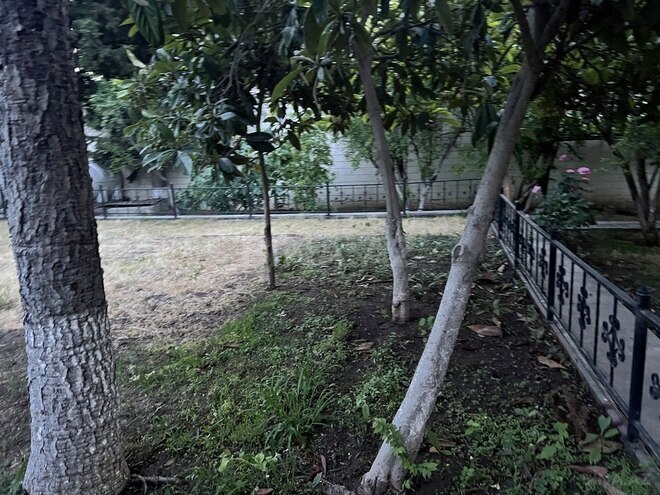 5 otaqlı həyət evi/bağ evi - Bakıxanov q. - 314 m² (27)