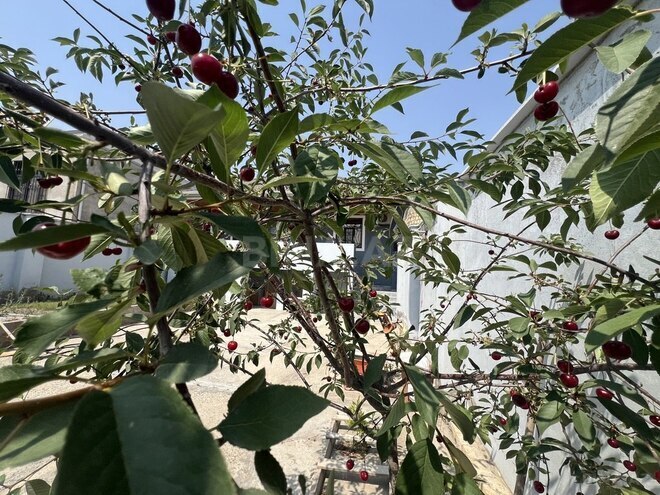 4 otaqlı həyət evi/bağ evi - Biləcəri q. - 150 m² (20)