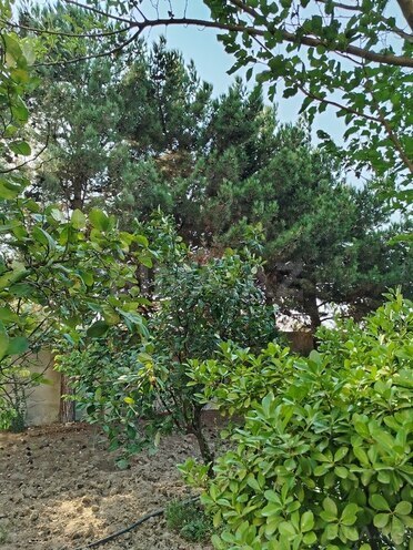 8-комн. дом/дача - пос. Новханы - 480 м² (3)