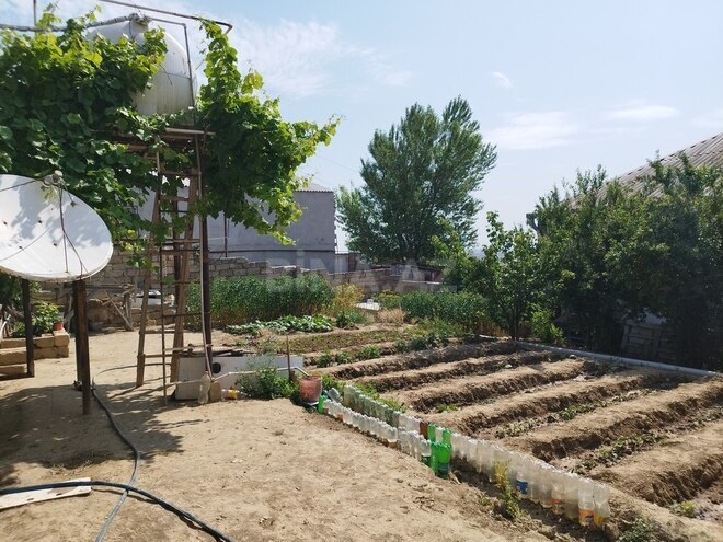 2 otaqlı həyət evi/bağ evi - Zığ q. - 63 m² (21)