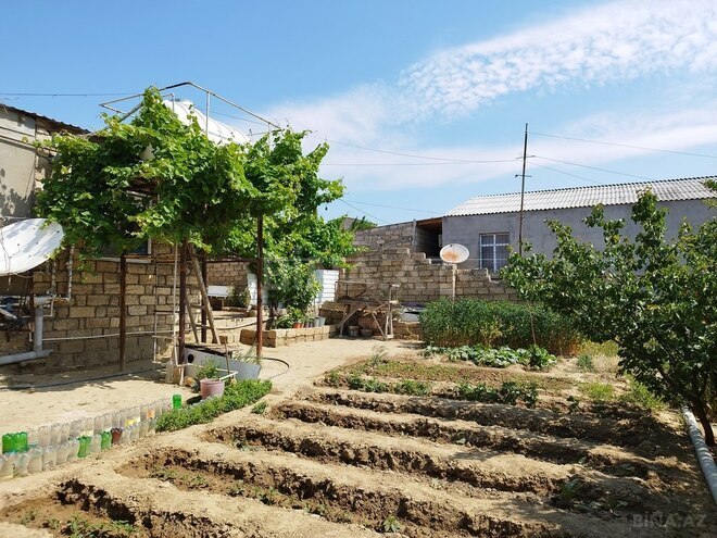 2 otaqlı həyət evi/bağ evi - Zığ q. - 63 m² (18)