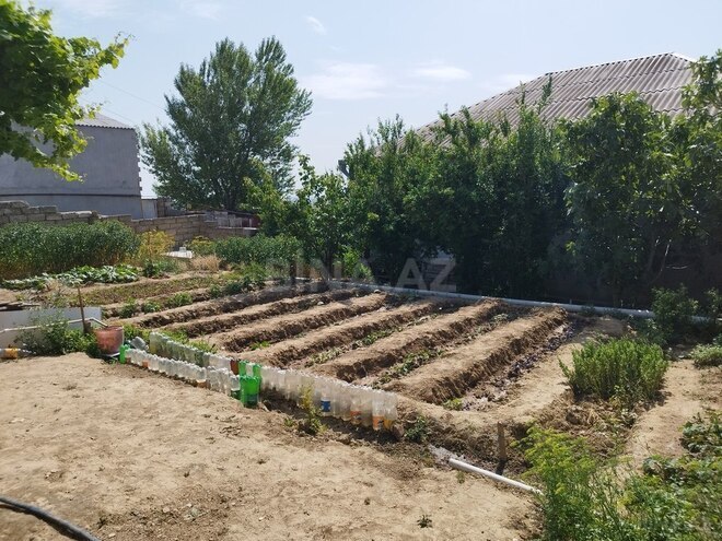 2 otaqlı həyət evi/bağ evi - Zığ q. - 63 m² (23)