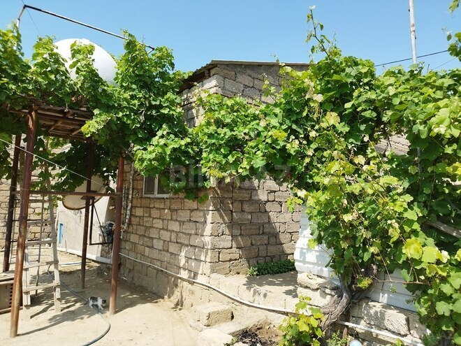 2 otaqlı həyət evi/bağ evi - Zığ q. - 63 m² (25)