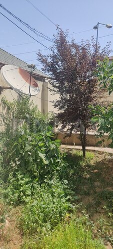 6-комн. дом/дача - м. Автовокзал - 220 м² (7)