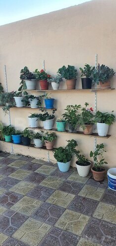 3 otaqlı həyət evi/bağ evi - Buzovna q. - 100 m² (14)
