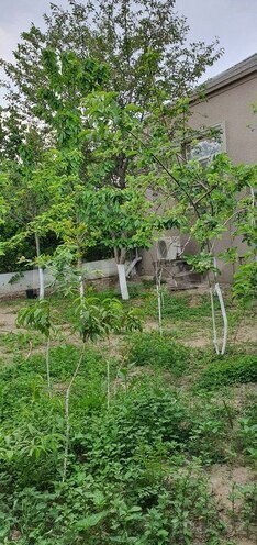 3 otaqlı həyət evi/bağ evi - Buzovna q. - 100 m² (12)