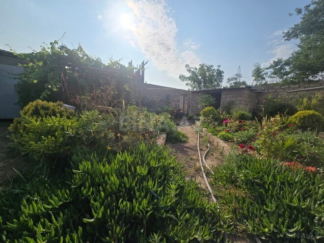 3 otaqlı həyət evi/bağ evi - Binə q. - 160 m² (2)