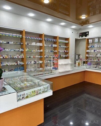 Obyekt - Şah İsmayıl Xətai m. - 59 m² (11)