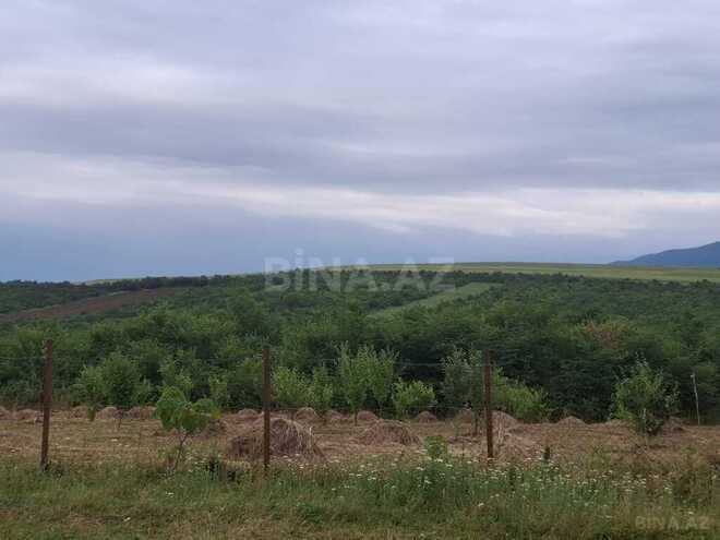 Участок - Шабран - 12 сот (9)