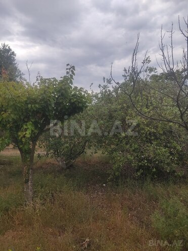 Участок - пос. Новханы - 4 сот (2)