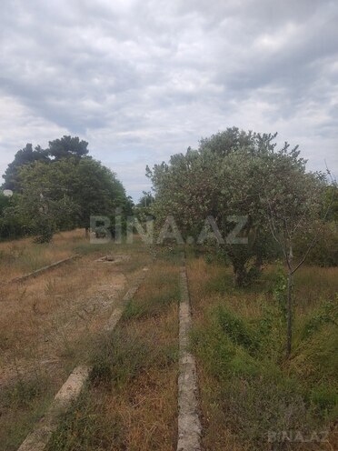 Участок - пос. Новханы - 2 сот (3)