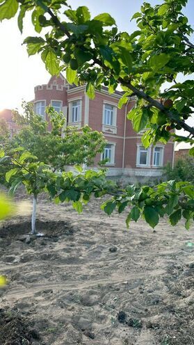 7-комн. дом/дача - пос. Новханы - 270 м² (3)