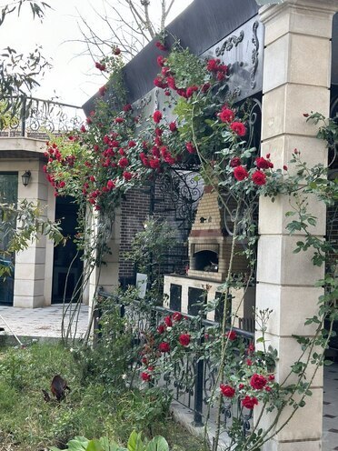10 otaqlı həyət evi/bağ evi - Neftçilər m. - 850 m² (16)
