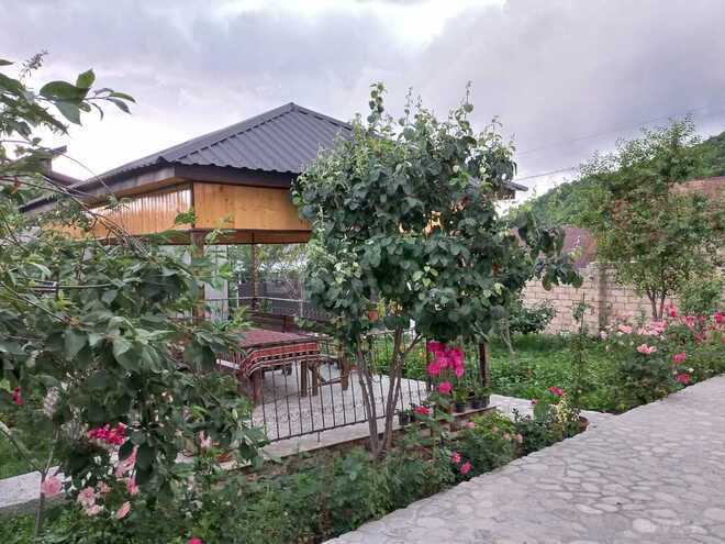 3 otaqlı həyət evi/bağ evi - İsmayıllı - 110 m² (20)