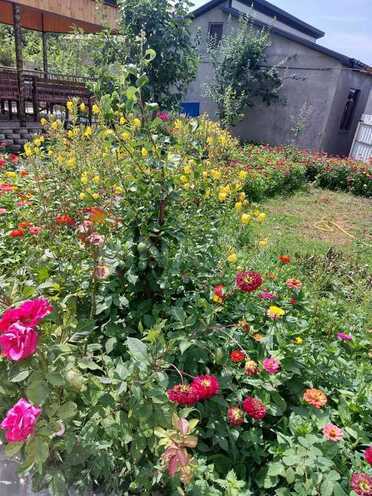 3 otaqlı həyət evi/bağ evi - İsmayıllı - 110 m² (6)