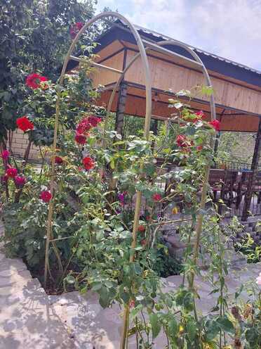 3 otaqlı həyət evi/bağ evi - İsmayıllı - 110 m² (1)