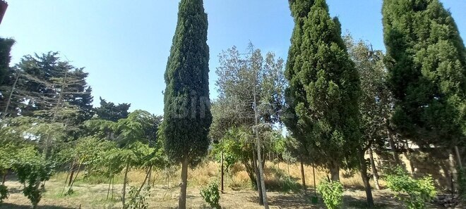 5 otaqlı həyət evi/bağ evi - Türkan q. - 280 m² (8)