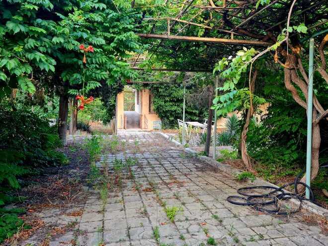 3 otaqlı həyət evi/bağ evi - Bilgəh q. - 150 m² (2)