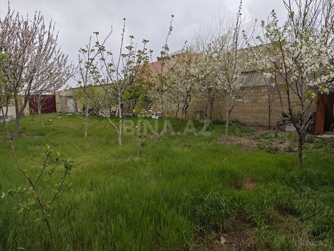 Участок - пос. Мамедли - 5 сот (2)