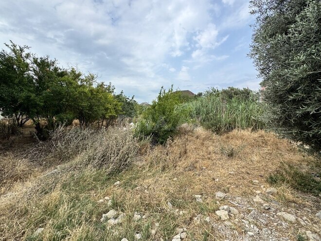 Продаётся  участок 11.5 сот, м. Ахмедлы, photo 6 from 12