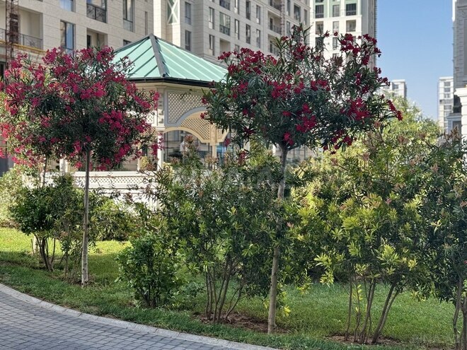 2-комн. новостройка - м. Нариман Нариманов - 57 м² (12)