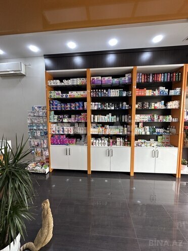 Obyekt - Şah İsmayıl Xətai m. - 59 m² (8)