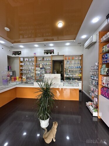 Obyekt - Şah İsmayıl Xətai m. - 59 m² (10)