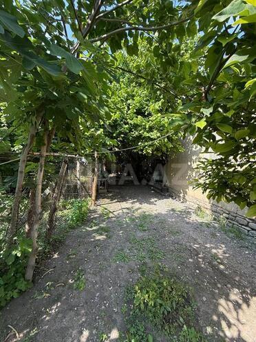 3-комн. дом/дача - Исмаиллы - 90 м² (13)