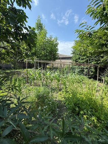 3-комн. дом/дача - Исмаиллы - 90 м² (6)