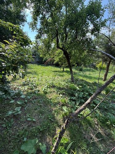 3-комн. дом/дача - Исмаиллы - 90 м² (11)