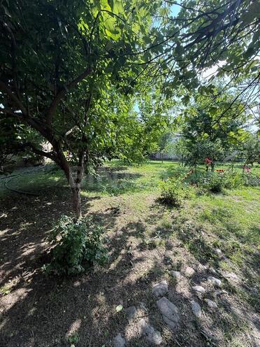 3-комн. дом/дача - Исмаиллы - 90 м² (10)