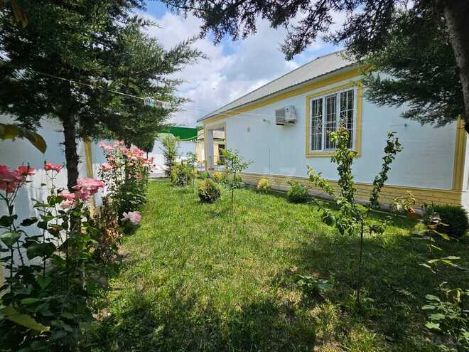 3 otaqlı həyət evi/bağ evi - Qəbələ - 120 m² (4)