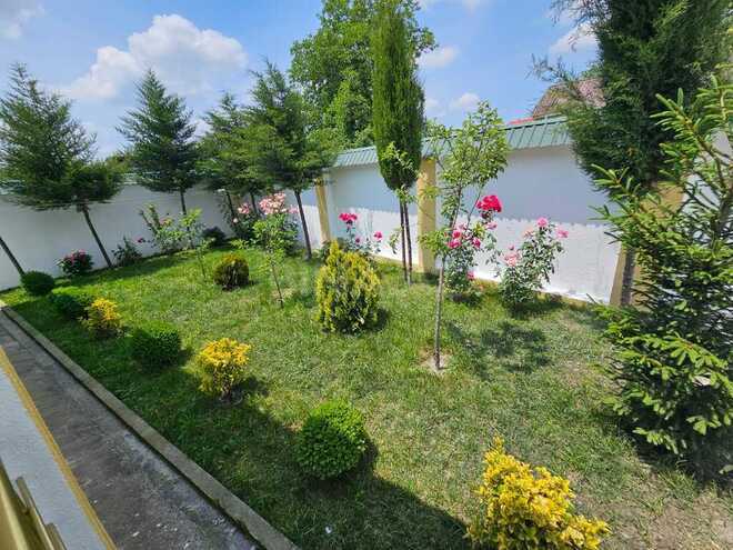 3 otaqlı həyət evi/bağ evi - Qəbələ - 120 m² (20)