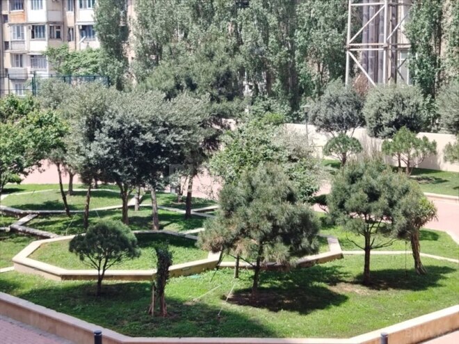 5-комн. новостройка - м. Низами - 442 м² (19)