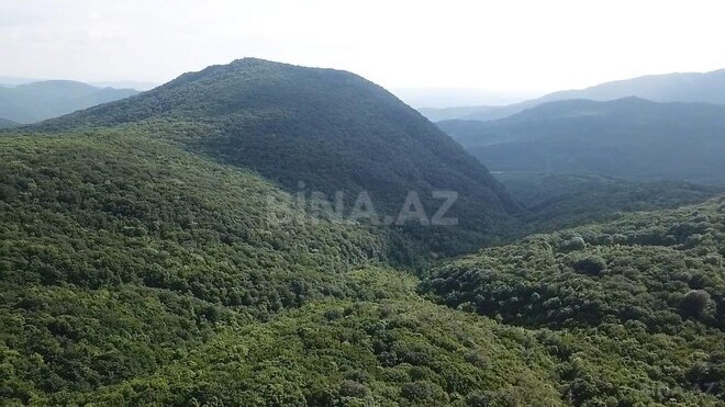 Сдаётся 4-комн. дом/дача 130 м², photo 14 from 17