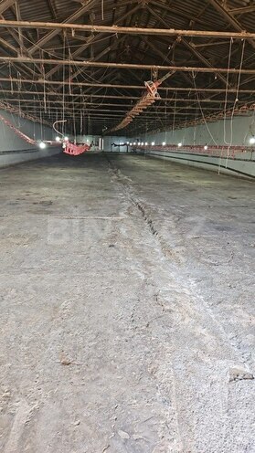Obyekt - Mehdiabad q. - 780 m² (3)