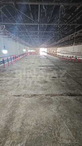 Obyekt - Mehdiabad q. - 780 m² (2)