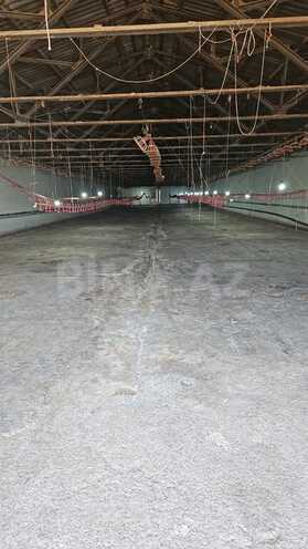 Obyekt - Mehdiabad q. - 780 m² (4)