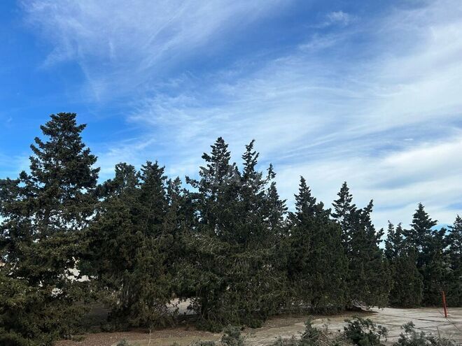 Satılır  torpaq 13 sot, Qala q., photo 10 from 11