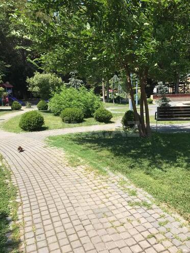 1 otaqlı köhnə tikili - Azadlıq Prospekti m. - 50 m² (23)