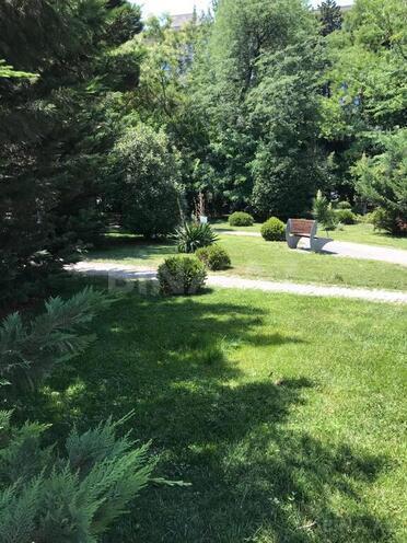 1 otaqlı köhnə tikili - Azadlıq Prospekti m. - 50 m² (24)