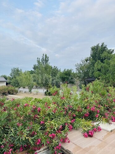 4 otaqlı həyət evi/bağ evi - Bilgəh q. - 560 m² (15)
